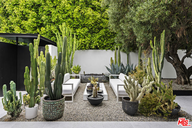 Entry courtyard with native cacti