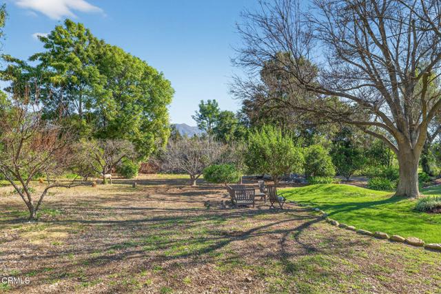Detail Gallery Image 6 of 50 For 1015 W El Roblar Dr, Ojai,  CA 93023 - 4 Beds | 2 Baths