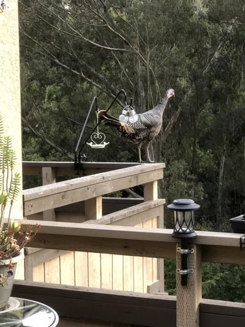 1881 Chantilly Lane, Hayward CA: https://media.crmls.org/mediaz/5f2649c4-299d-495f-bd1a-f0f283ffc90d.jpg