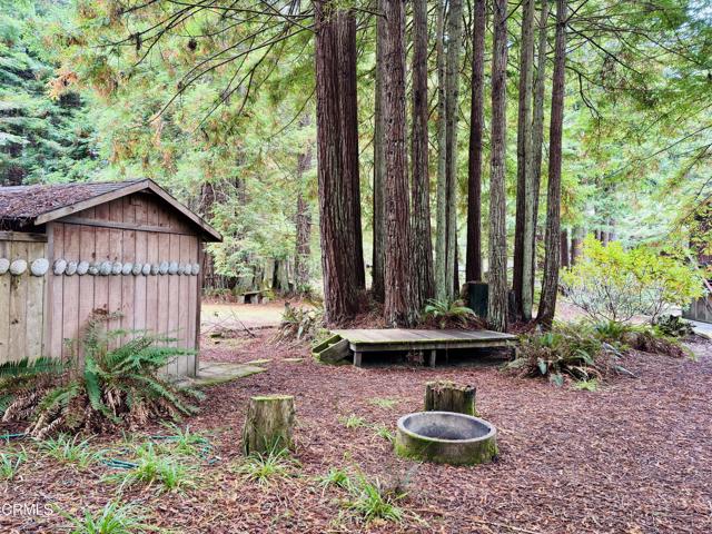 24560 Jimmie Lane, Fort Bragg, California 95437, 3 Bedrooms Bedrooms, ,2 BathroomsBathrooms,Residential,For Sale,24560 Jimmie Lane,CRC1-10795