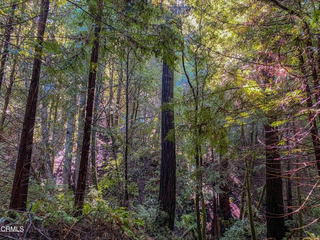 0 Irmulco Road, Willits CA: https://media.crmls.org/mediaz/5f2a64dc-4d8a-422e-811d-6671d38754c2.jpg