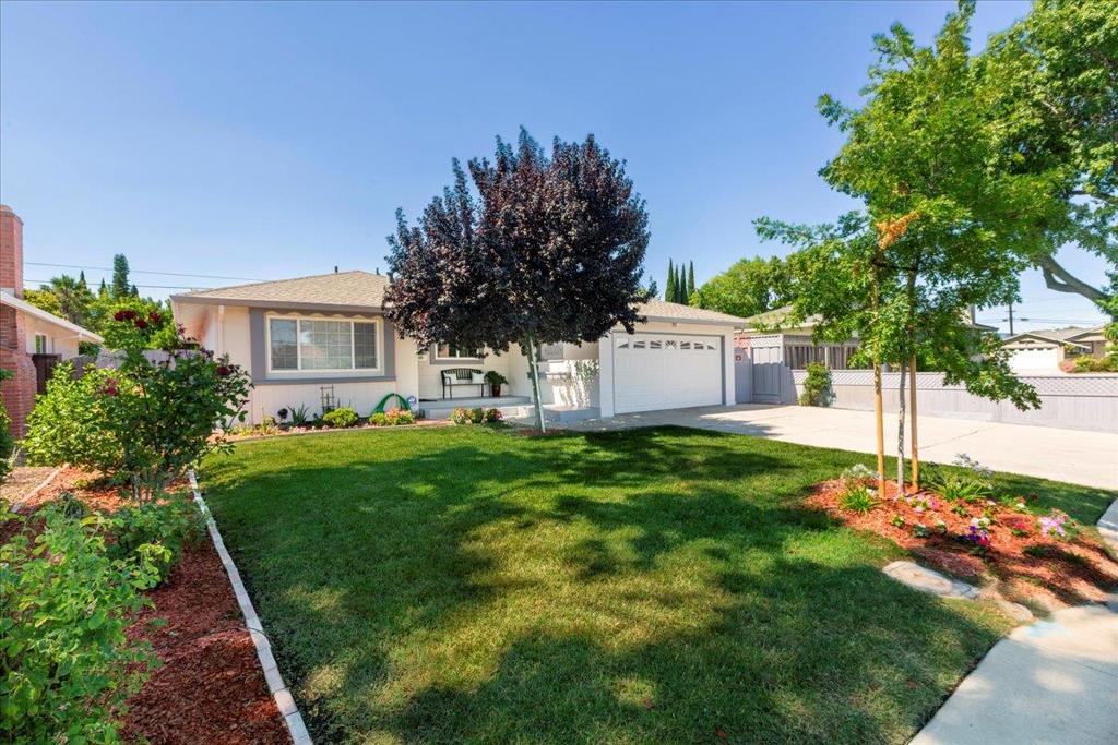 3562 Earl Drive
