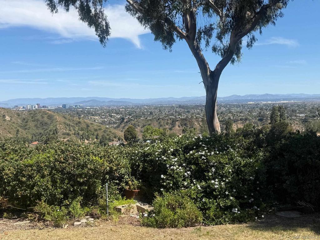 5877 Soledad Mountain Road - photo 5