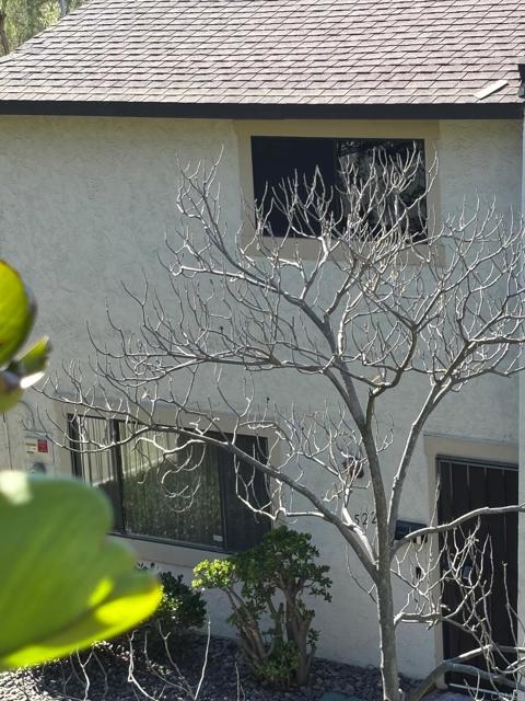 Detail Gallery Image 18 of 21 For 3522 Fairlomas Dr, National City,  CA 91950 - 3 Beds | 2/5 Baths