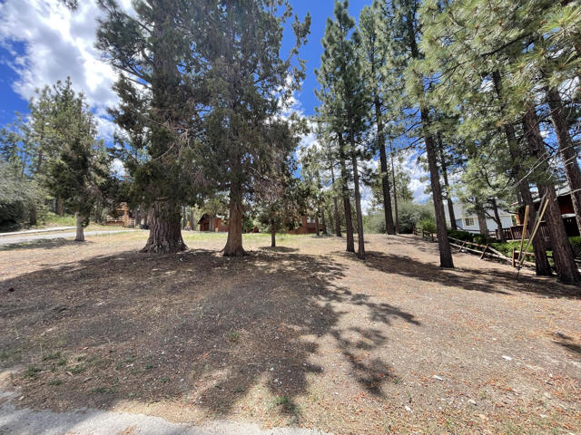 MLS# 219098656DA
