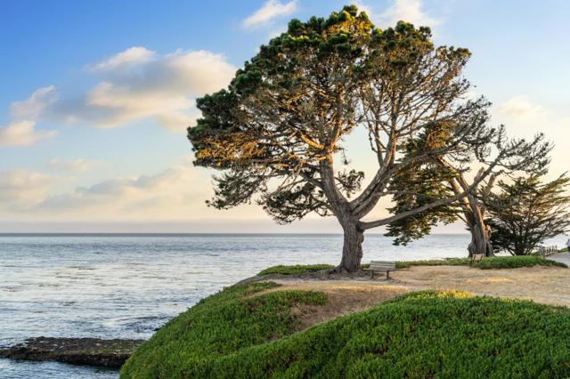 421 Oxford Way, Santa Cruz CA: https://media.crmls.org/mediaz/5f553407-8967-4b90-a3c2-db42fa697f83.jpg