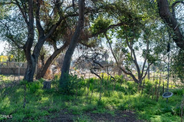 Detail Gallery Image 18 of 21 For 1134 E Altadena Dr, Altadena,  CA 91001 - – Beds | – Baths