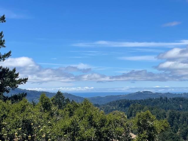 7405 Alpine Road, La Honda CA: https://media.crmls.org/mediaz/5f5fbfe5-7fb8-4aa9-9435-f0f6ec743e1e.jpg