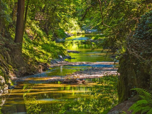 0 Highway 9, Boulder Creek CA: https://media.crmls.org/mediaz/5f6e3df4-299a-42f0-9fbd-69ea5a6d1f0e.jpg