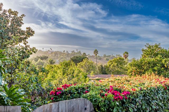 Detail Gallery Image 33 of 40 For 1322 Loma De Paz, Escondido,  CA 92027 - 3 Beds | 2/1 Baths