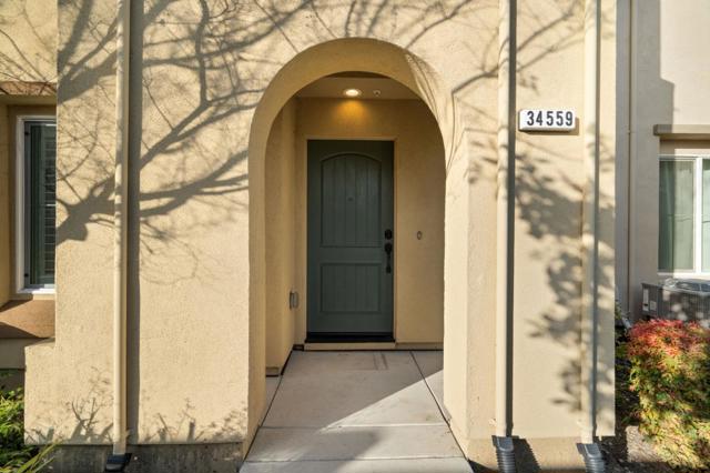 34559 Clydesdale Terrace, Fremont CA: https://media.crmls.org/mediaz/5f7e8634-1d4e-4a50-bb5a-4b7a6e7ab084.jpg