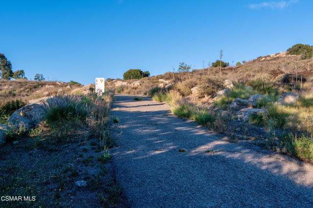 073_1430_camino_magenta_073