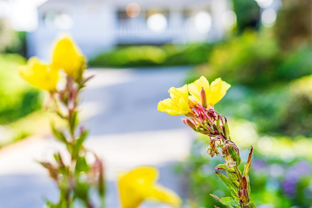 https://media.crmls.org/mediaz/5f7fc044-4dcc-4be5-8973-50a75a1c7f7e.jpg?preset=X-Large