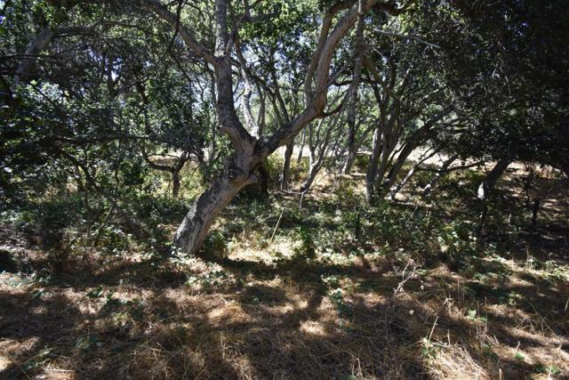 0 Alexander Lane, San Juan Bautista CA: https://media.crmls.org/mediaz/5f8dff7b-8308-4d33-8a23-f6903c2c5449.jpg