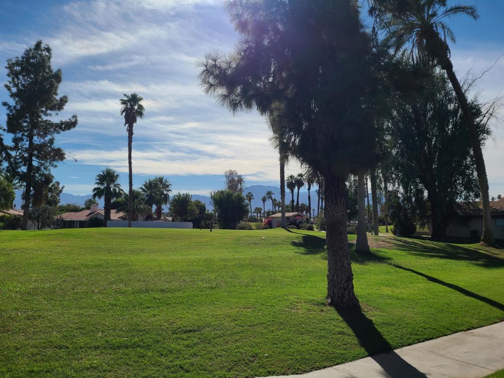 MLS #219138224DA image #14