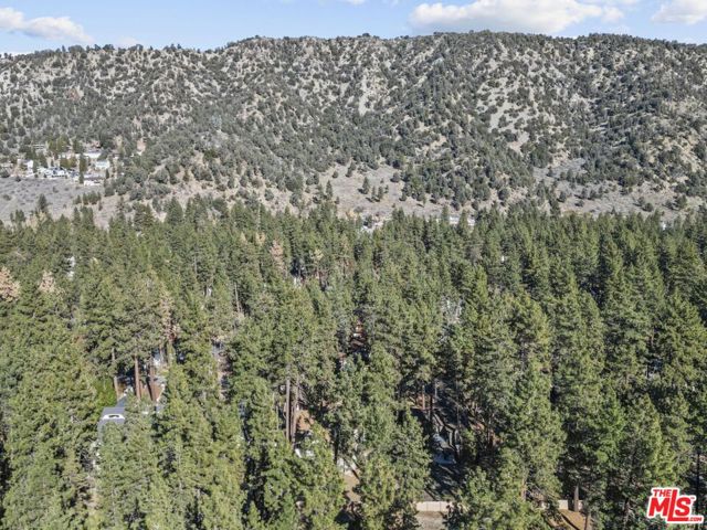 1197 Oriole Road, Wrightwood CA: https://media.crmls.org/mediaz/5f961ddf-fdb7-443e-b204-999586ce2c46.jpg