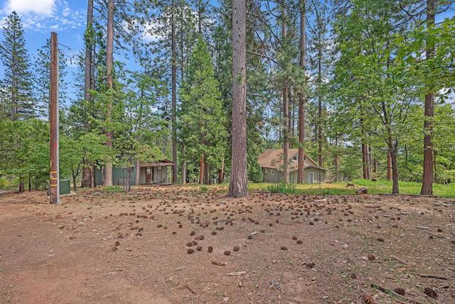 1753 Lightning Lane, Arnold CA: https://media.crmls.org/mediaz/5f96b820-d935-4766-b767-0809971b530b.jpg