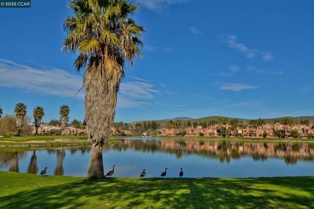 3019 Tahoe Pl, San Ramon CA: https://media.crmls.org/mediaz/5fa778c4-71da-4459-8636-df150cd60138.jpg