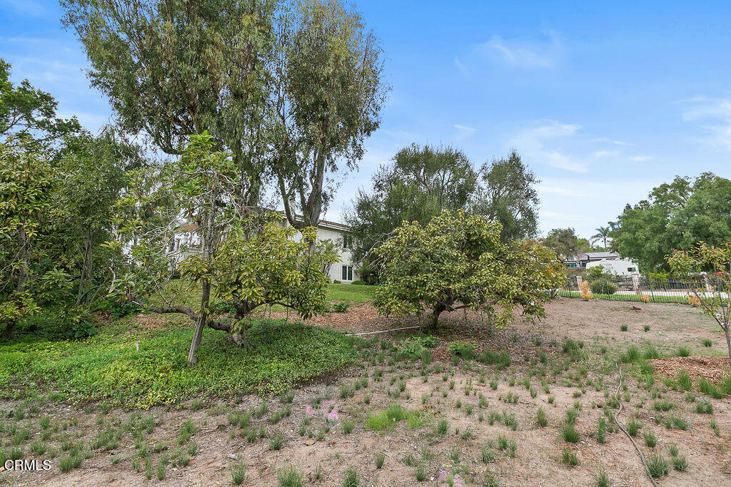 MLS #V1-33351 image #68