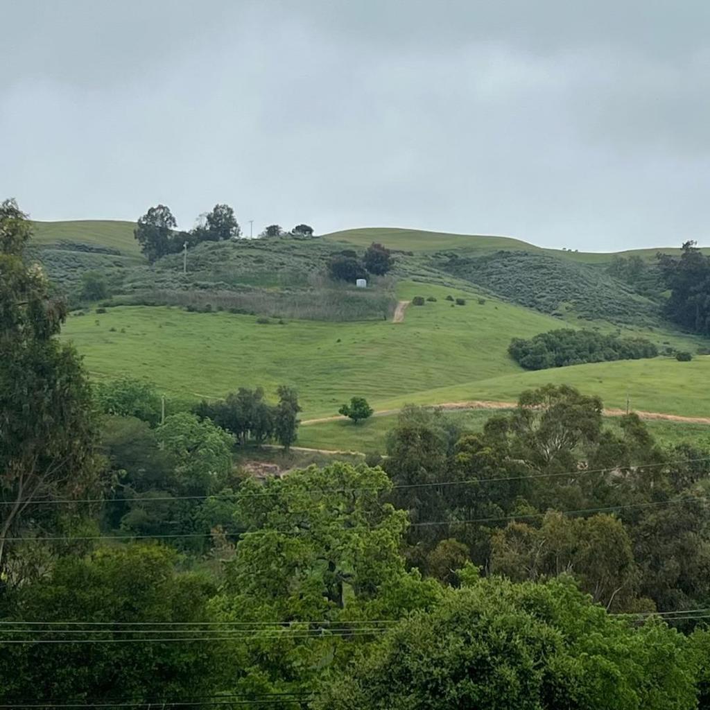 https://media.crmls.org/mediaz/5fb32f6f-5e9d-4ba6-b643-3b2bfa9559fc.jpg?preset=X-Large