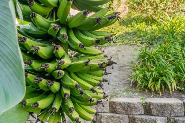 Detail Gallery Image 27 of 56 For 2655 Seacrest, Vista,  CA 92081 - 3 Beds | 2/1 Baths