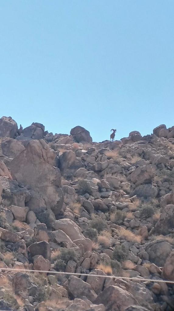 MLS #219137042PS image #14