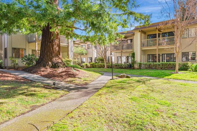 50 Horgan Avenue, Redwood City CA: https://media.crmls.org/mediaz/5fbe87c2-bebd-4184-a313-3d687c00f3b5.jpg