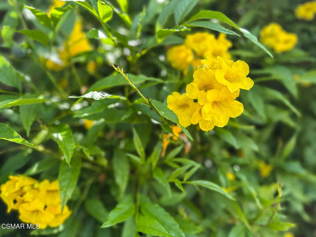 https://media.crmls.org/mediaz/5fcd9080-7355-41a1-8ce2-5bf14f5dd475.jpg?preset=X-Large
