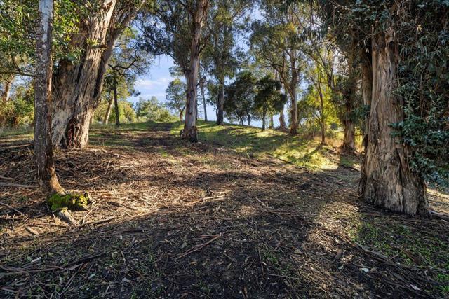 0 Old Santa Cruz Highway, Los Gatos CA: https://media.crmls.org/mediaz/5fd2f458-7b6e-4666-9e1b-f58d15d8b540.jpg