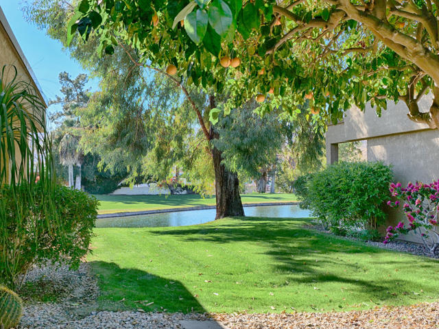 7529 Regency Drive, Palm Springs CA: https://media.crmls.org/mediaz/5fd33eb2-7fcc-43a2-a292-f51ea6b94e2a.jpg