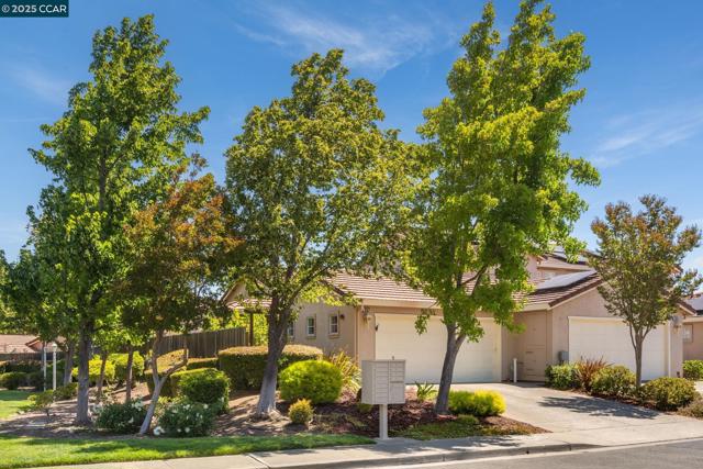 302 Columbia Cir, Benicia CA: https://media.crmls.org/mediaz/5fd360ba-3068-403f-ab5f-fd7a8bba82d0.jpg