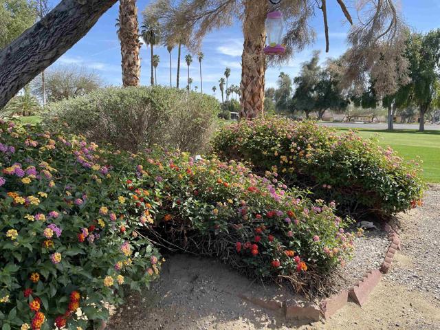 1010 Palm Canyon Dr, Borrego Springs CA: https://media.crmls.org/mediaz/5fd60d66-27c9-4121-811d-237aba033c19.jpg