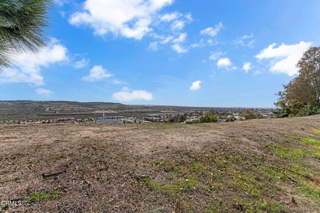 MLS #P1-21065 img 21