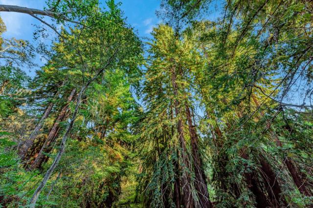 0 Ranch, Carmel Valley Road, Carmel CA: https://media.crmls.org/mediaz/5fec7a23-b1d1-42ed-a6d1-c8907beccc61.jpg
