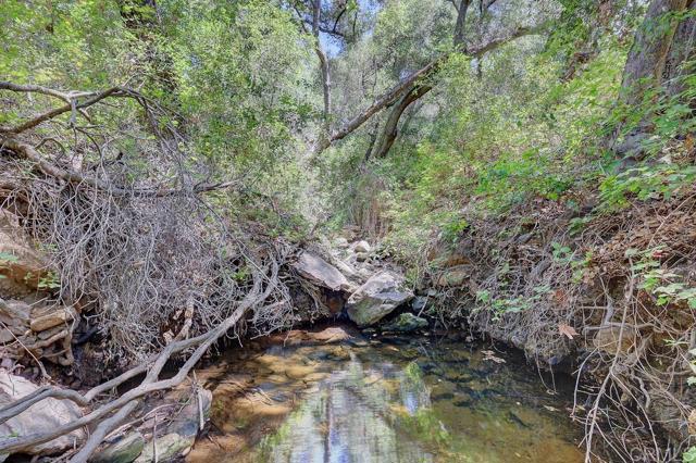 0 Camino Estribo, Temecula CA: https://media.crmls.org/mediaz/5ff7700b-e394-4f8b-b1e6-6843e287ad55.jpg