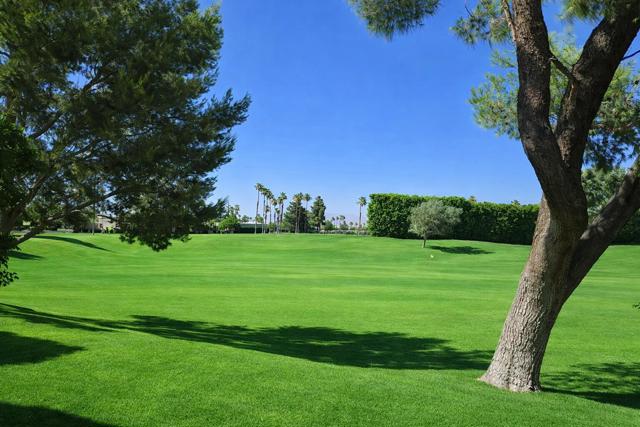 28710 Desert Princess Drive, Cathedral City CA: https://media.crmls.org/mediaz/5ffdb875-e8a2-40c5-8630-cb73de3d9357.jpg