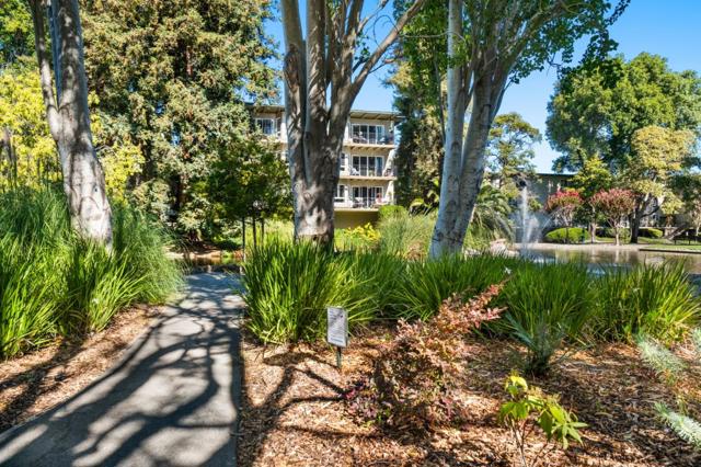 845 N Humboldt Street, San Mateo CA: https://media.crmls.org/mediaz/5ffeb8e5-375c-49f5-997c-11ea1a056777.jpg