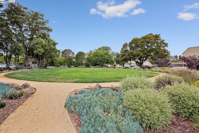 3032 CERRO VISTA, Alameda CA: https://media.crmls.org/mediaz/6001623f-b0e8-4154-addc-b512636d4e5d.jpg
