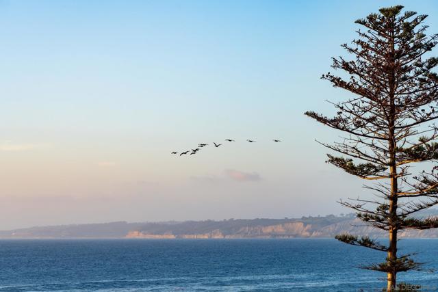 939 Coast Blvd, La Jolla CA: https://media.crmls.org/mediaz/601a6fd6-f446-4ca7-9247-699e5b9af89e.jpg