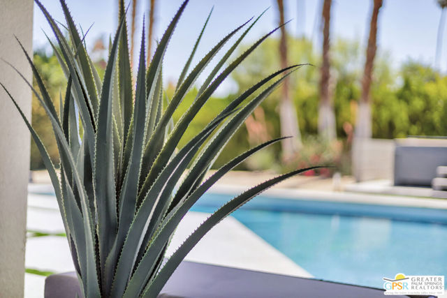 2566 S Calle Palo Fierro, Palm Springs CA: https://media.crmls.org/mediaz/60285920-3b9d-4c00-a739-30c87909d955.jpg