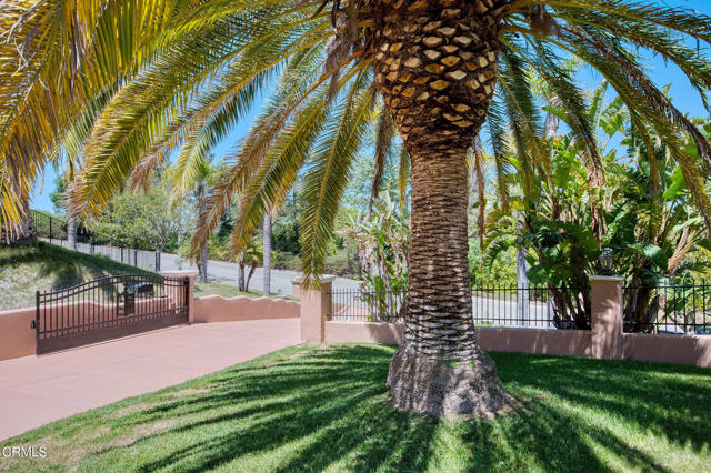 1690 Calle Tierra Vista, Camarillo CA: https://media.crmls.org/mediaz/602ca75f-7720-45bd-a2e2-b2453cbffa9b.jpg