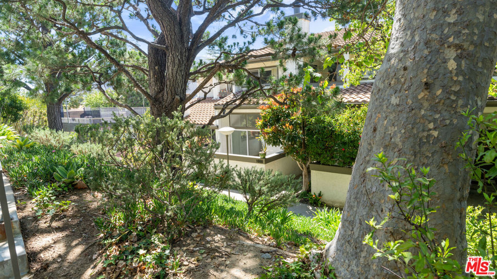 1666 Palisades Drive