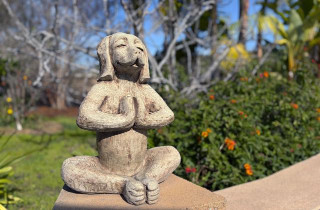 Detail Gallery Image 41 of 55 For 5506 Lipizzaner Cir, Oceanside,  CA 92057 - 4 Beds | 3/1 Baths