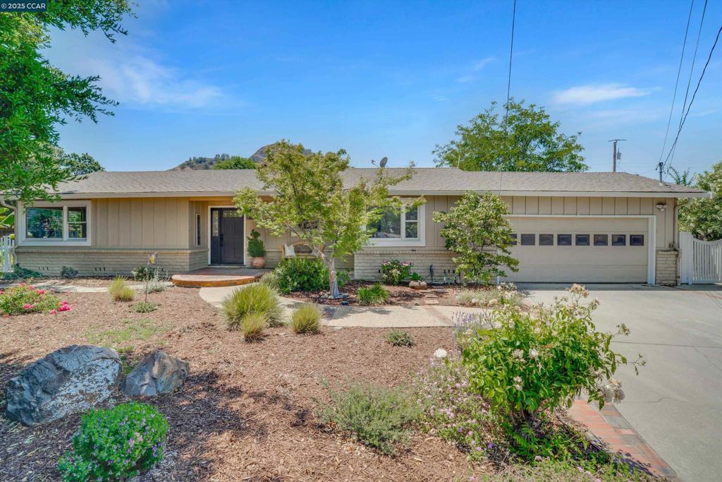 144 Widmar Pl