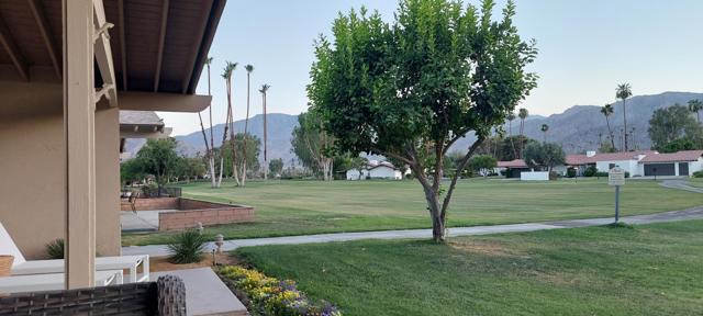 49091 Washington Street, La Quinta CA: https://media.crmls.org/mediaz/604a461c-bc56-4b2d-aaab-1a204e6fe7e7.jpg