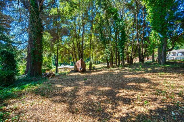 699 Felton Empire Road, Felton CA: https://media.crmls.org/mediaz/604b19b7-db49-4f9f-9ea3-32af1418b1cd.jpg