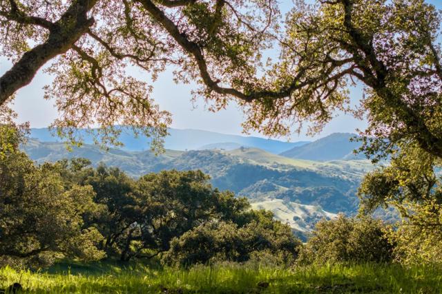 52 Chamisal Pass (Lot 136), Carmel CA: https://media.crmls.org/mediaz/604cc01a-45f1-4927-95ed-ac8a7c60bf3c.jpg