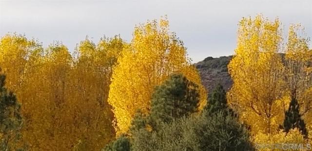 Detail Gallery Image 20 of 26 For 28857 Old Highway 80 #14,  Pine Valley,  CA 91962 - 0 Beds | 1 Baths