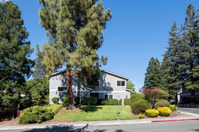 498 Via Royal, Walnut Creek CA: https://media.crmls.org/mediaz/606219b5-a903-456d-95ce-b790426e6477.jpg