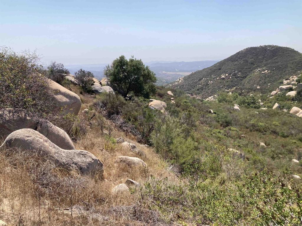 MLS #NDP2509006 image #24